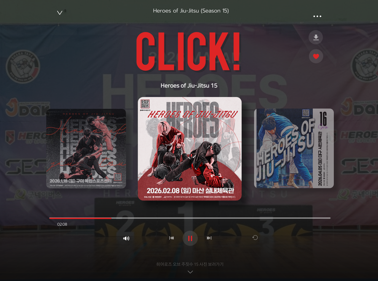 히어로즈 오브 주짓수 리그 시즌15